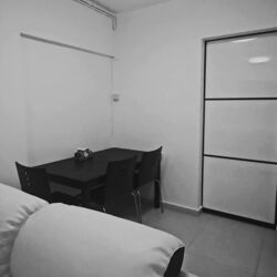 Blk 314 Teck Ghee Evergreen (Ang Mo Kio), HDB 2 Rooms #628213901